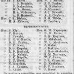 The Hawaiian Gazette 
May 6, 1874 · Page 2