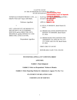 CaseBrief_ICA-Dkt19-OB_2024-07-22
